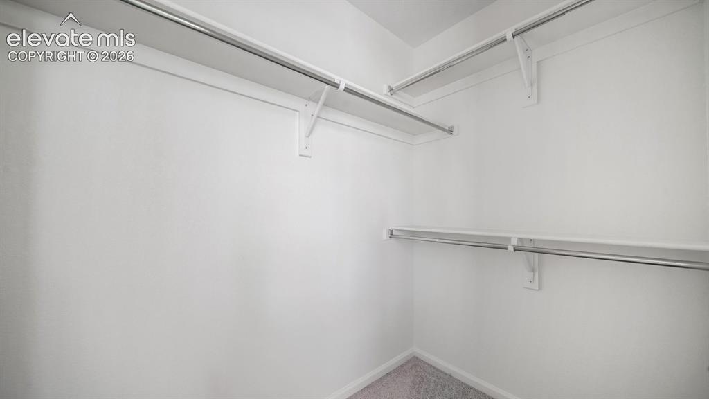 Image 22 of 24: Walk-in closet with white walls, carpet flooring, and multiple tiers of bui