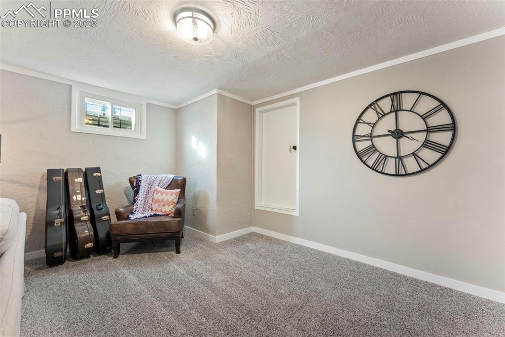 Image 22 of 45: Sitting room featuring carpet, a textured ceiling, a textured wall, and orn