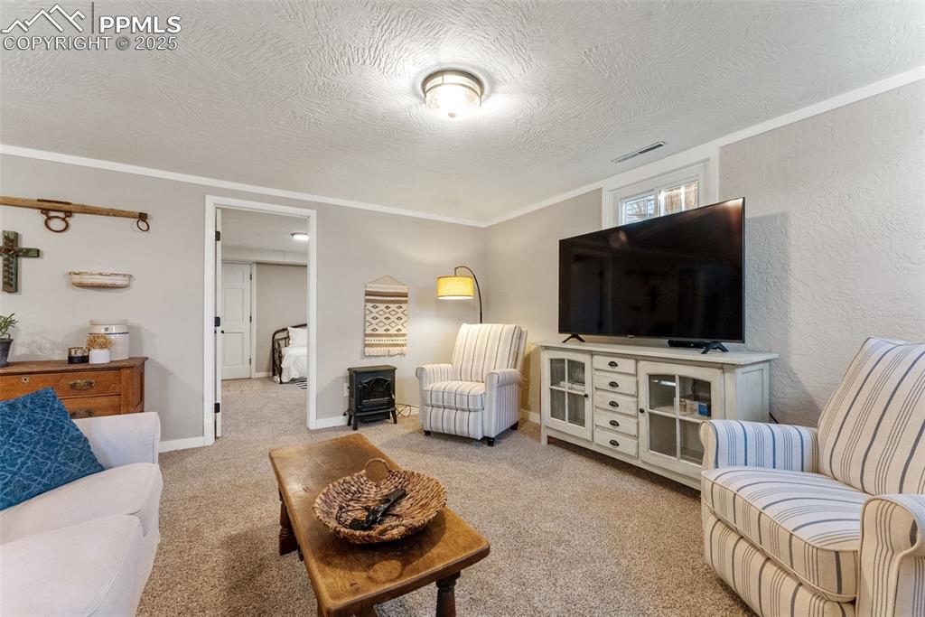 Image 28 of 45: Living area with light carpet, a textured ceiling, a wood stove, and orname