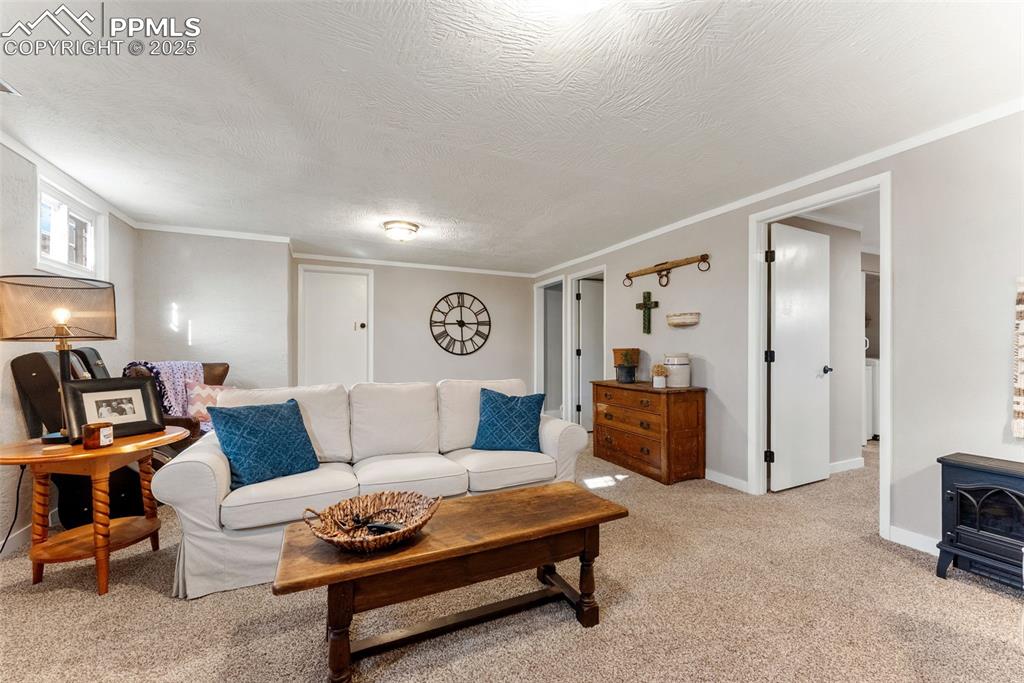 Image 30 of 45: Living area featuring a wood stove, ornamental molding, light carpet, and a