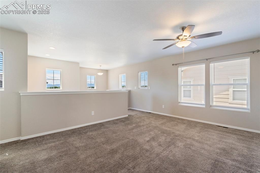 Image 20 of 39: Other