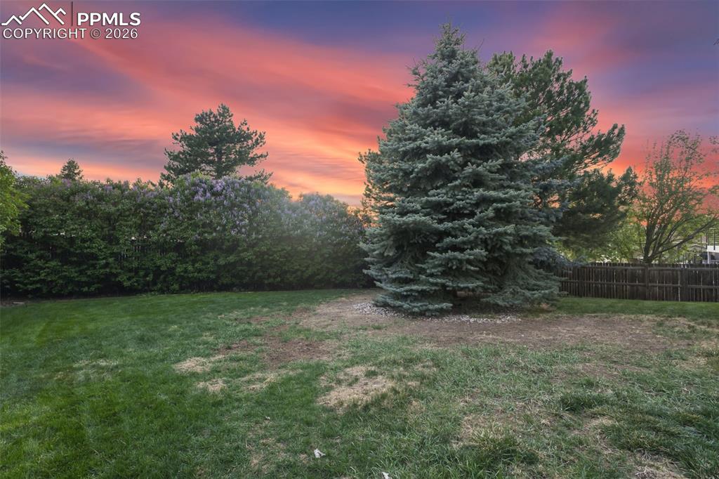 Image 41 of 47: Yard