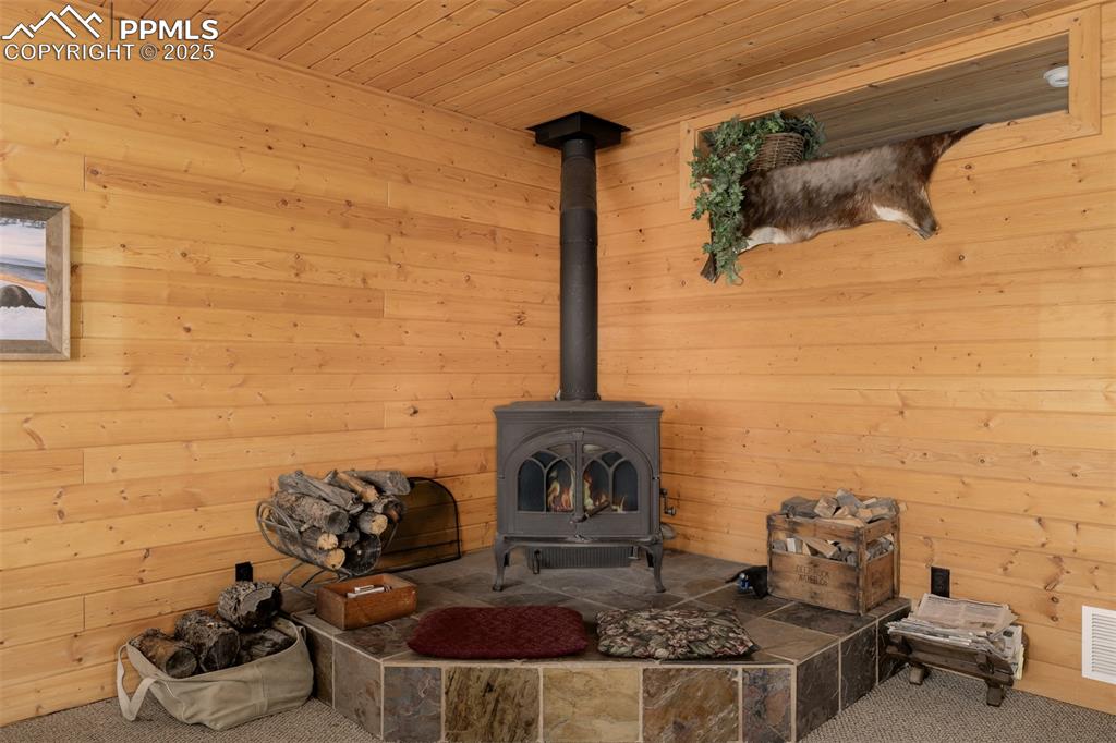 Image 13 of 48: Detailed view of a wood stove, wooden ceiling, wooden walls, a sauna, and c
