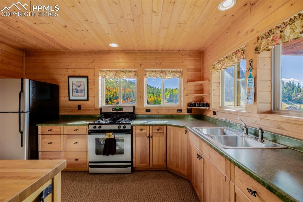 Image 17 of 48: Kitchen with stainless steel appliances, wood walls, recessed lighting, dar