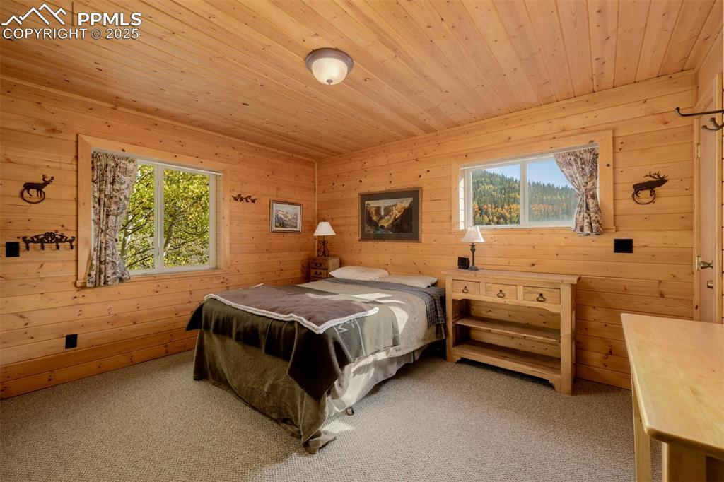 Image 18 of 48: Bedroom featuring multiple windows, light carpet, wooden walls, and wooden 