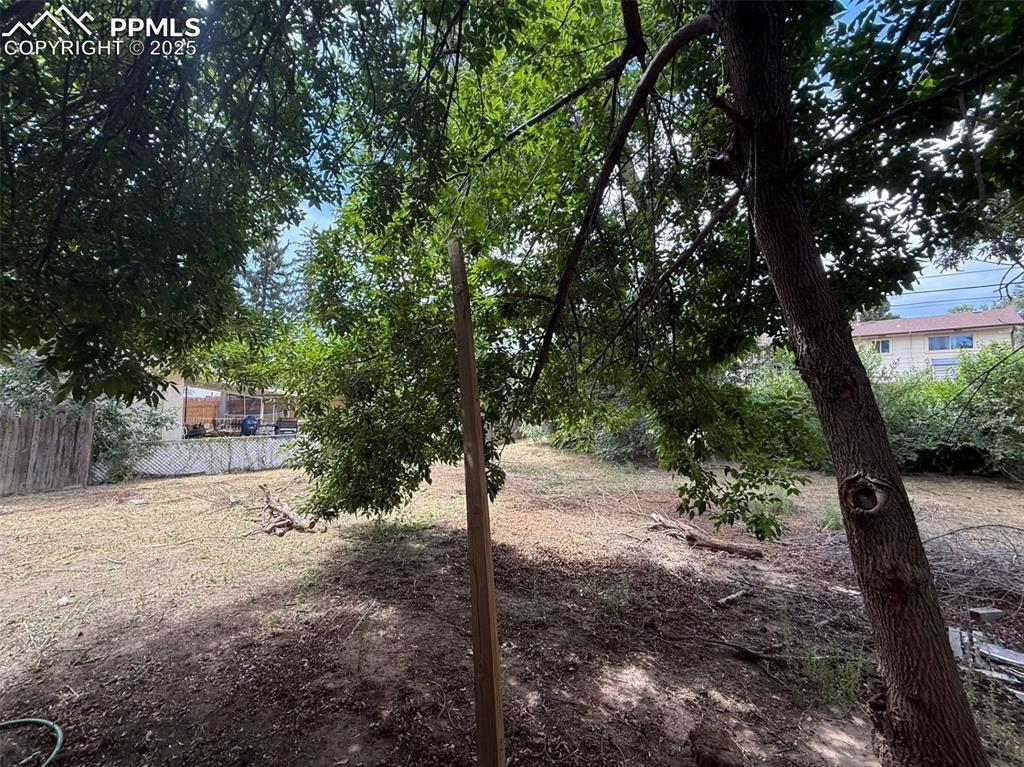 Image 10 of 10: View of yard
