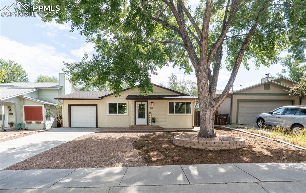 Image 2 of 37: Single story home with an attached garage and concrete driveway