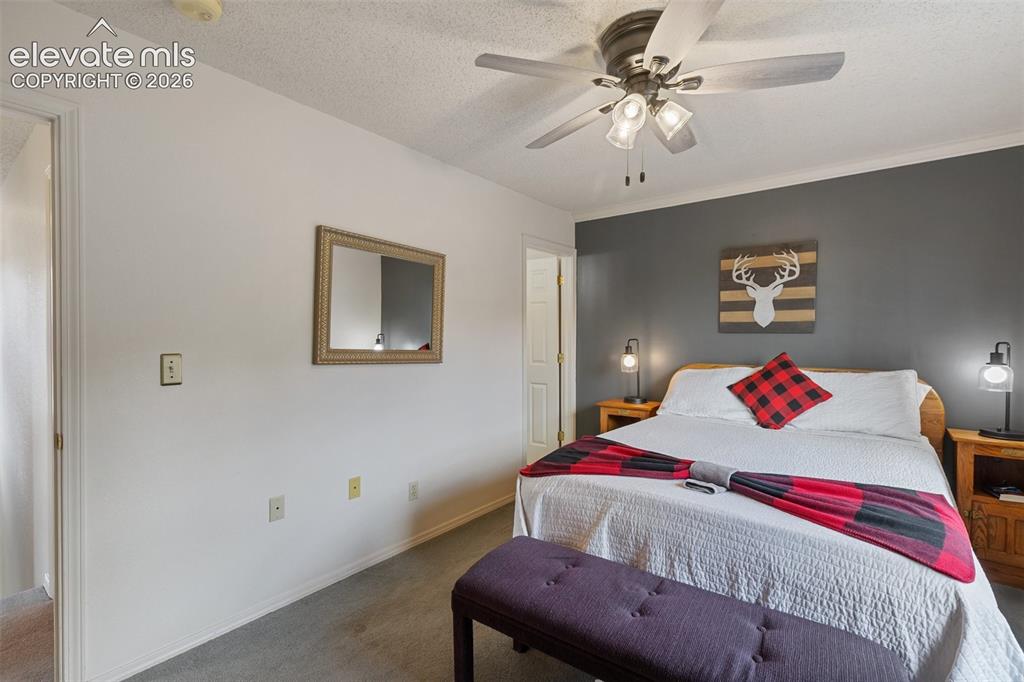 Image 26 of 36: Primary bedroom with attached full bath. 