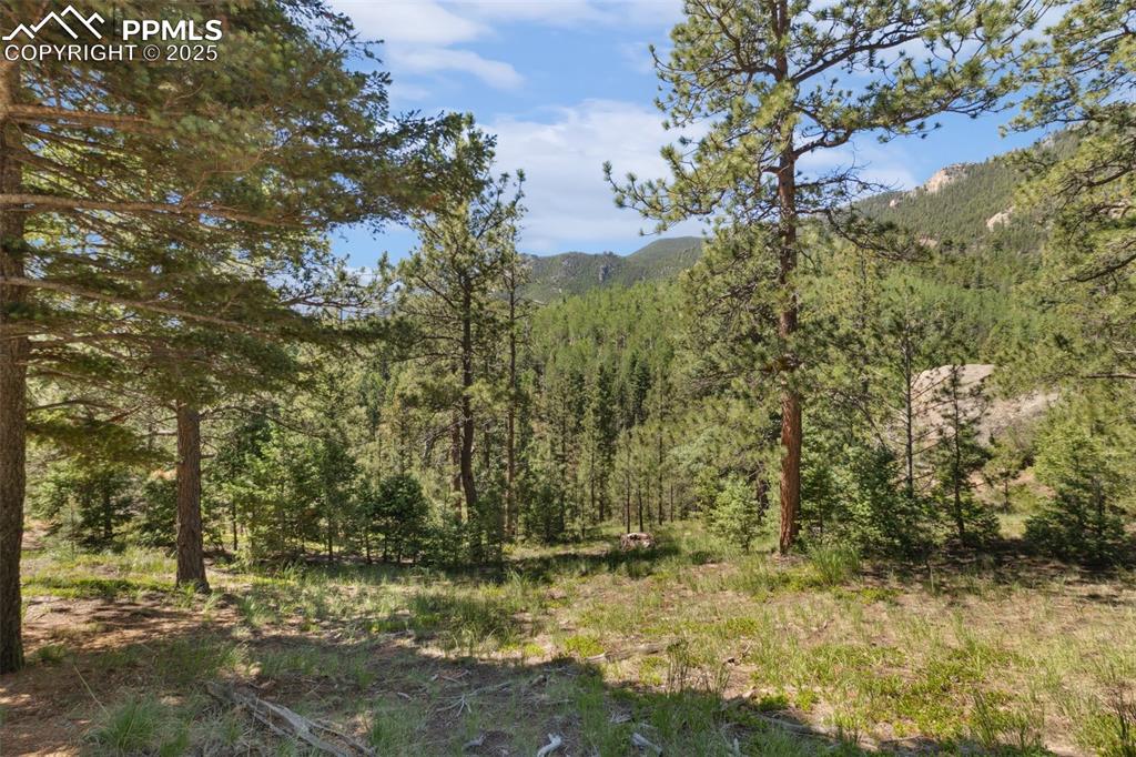 Image 10 of 34: Other