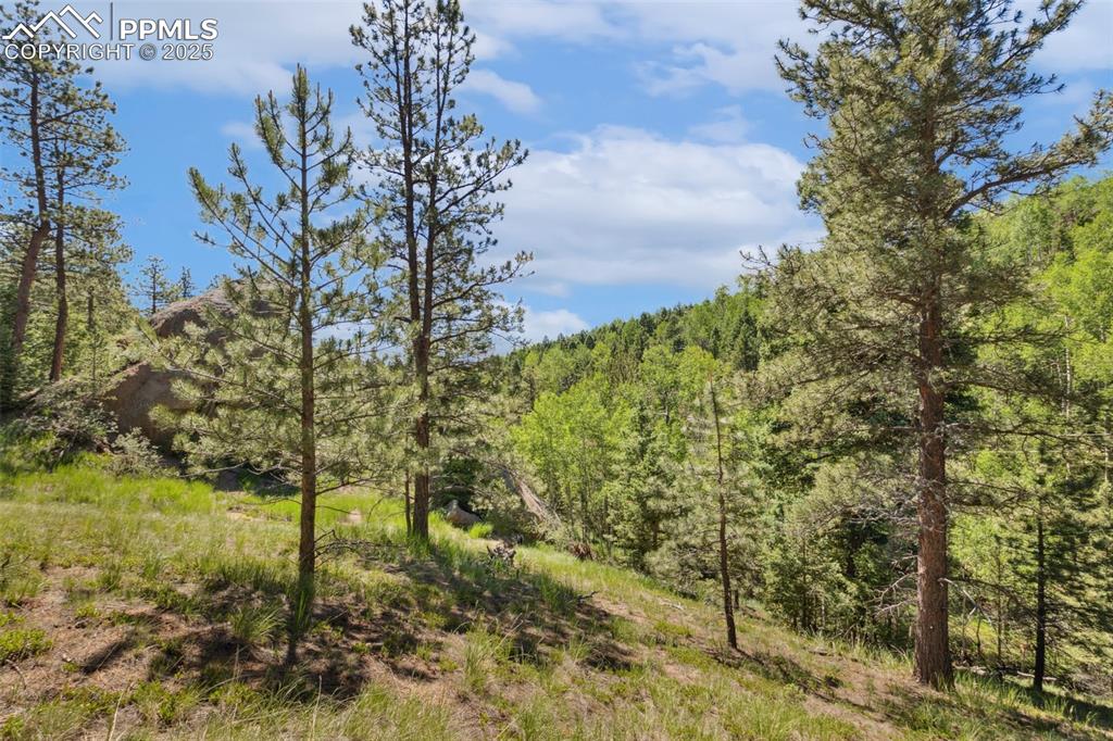 Image 21 of 34: Other