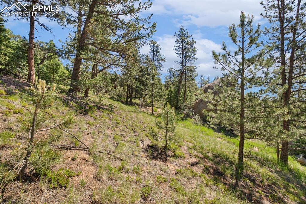 Image 22 of 34: View