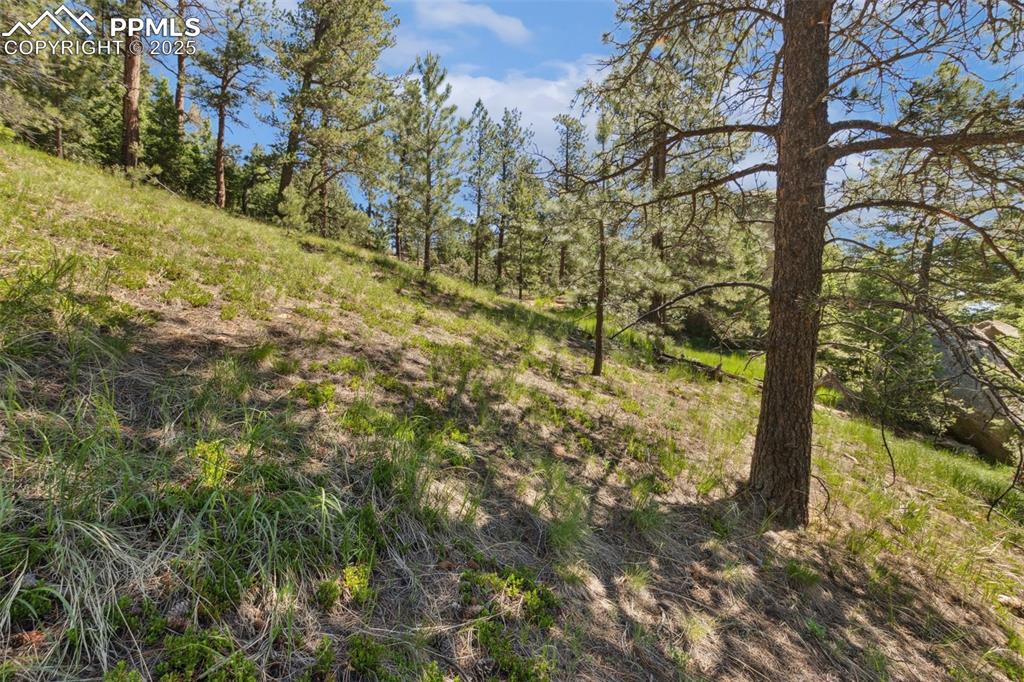 Image 23 of 34: Other