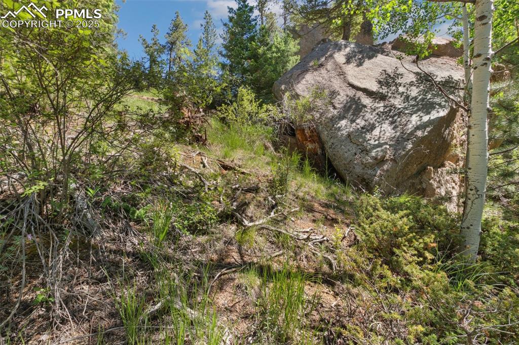 Image 24 of 34: Other