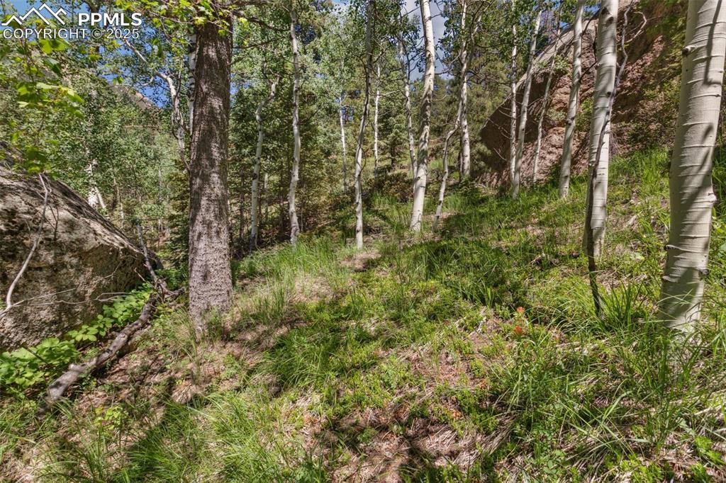 Image 25 of 34: Other