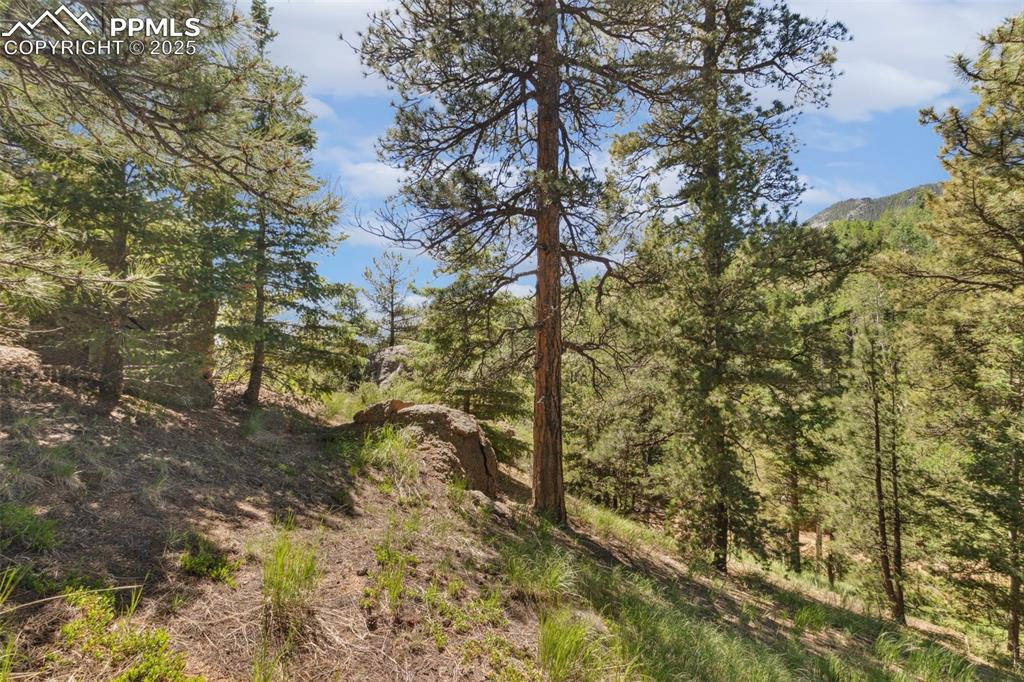 Image 26 of 34: Other