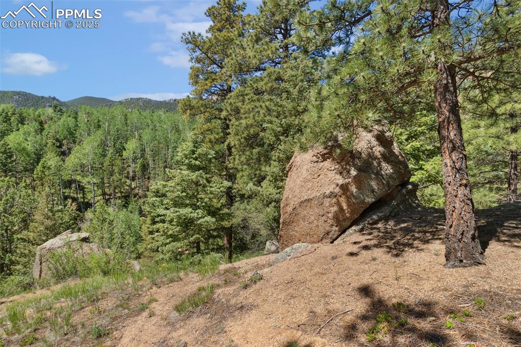 Image 28 of 34: Other