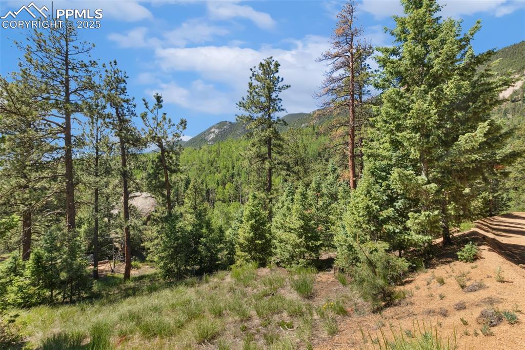 Image 3 of 34: Other