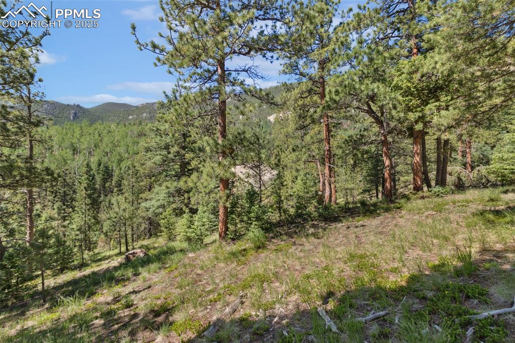 Image 5 of 34: Other