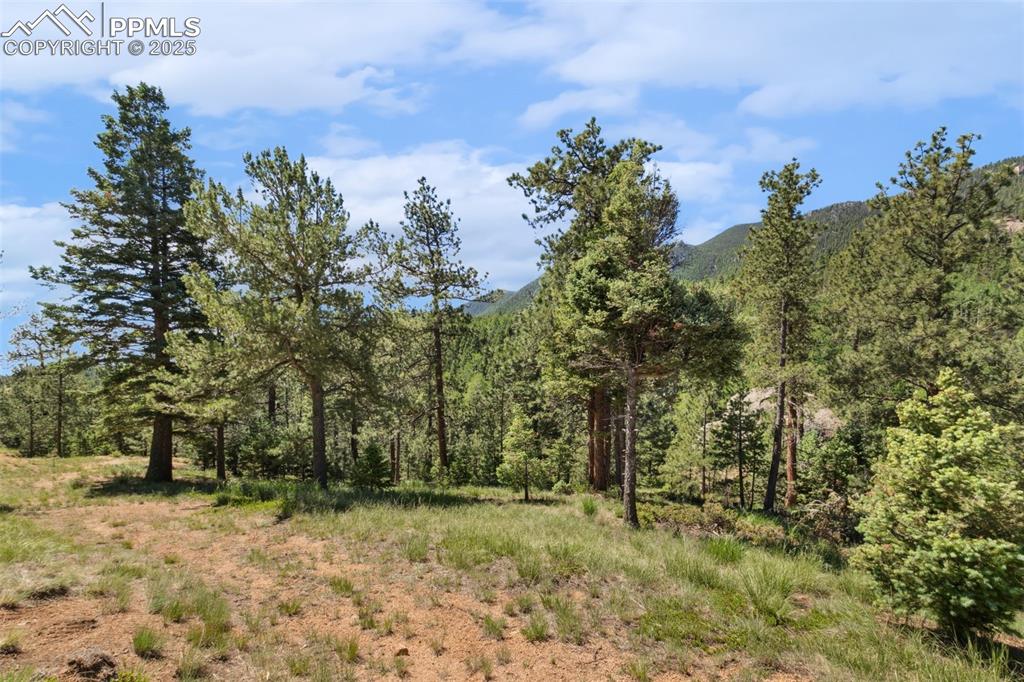 Image 7 of 34: Other