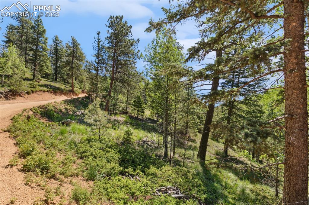 Image 8 of 34: Other