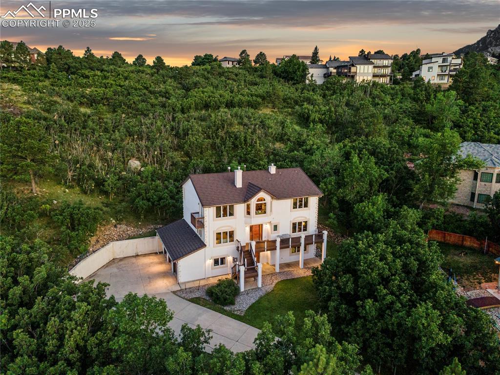 Image 3 of 49: Aerial view of a forest