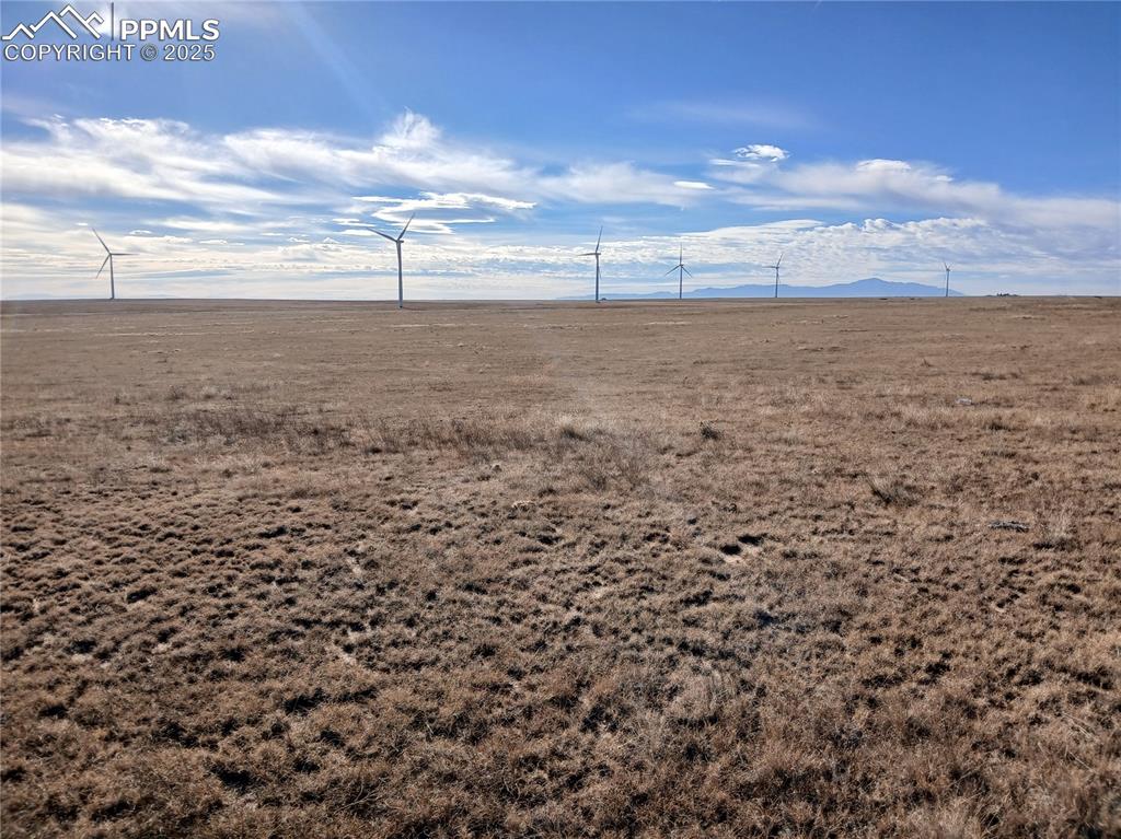 Image 11 of 12: Other