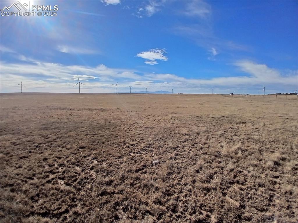 Image 4 of 12: Other