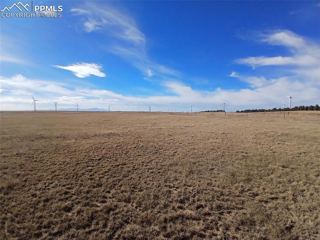 Image 7 of 12: Other