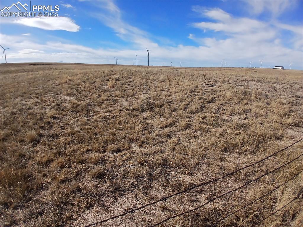 Image 8 of 12: Other