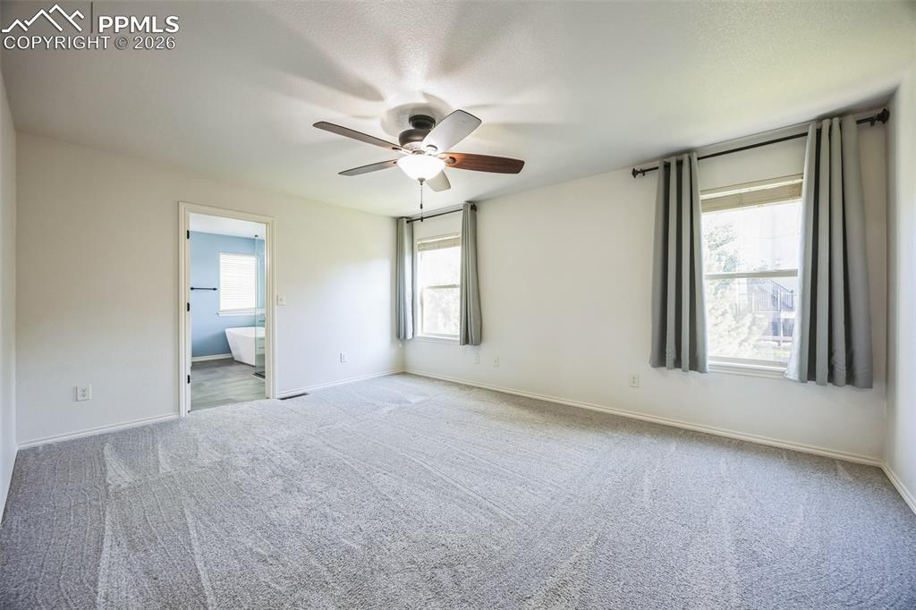 Image 19 of 29: No Description Available