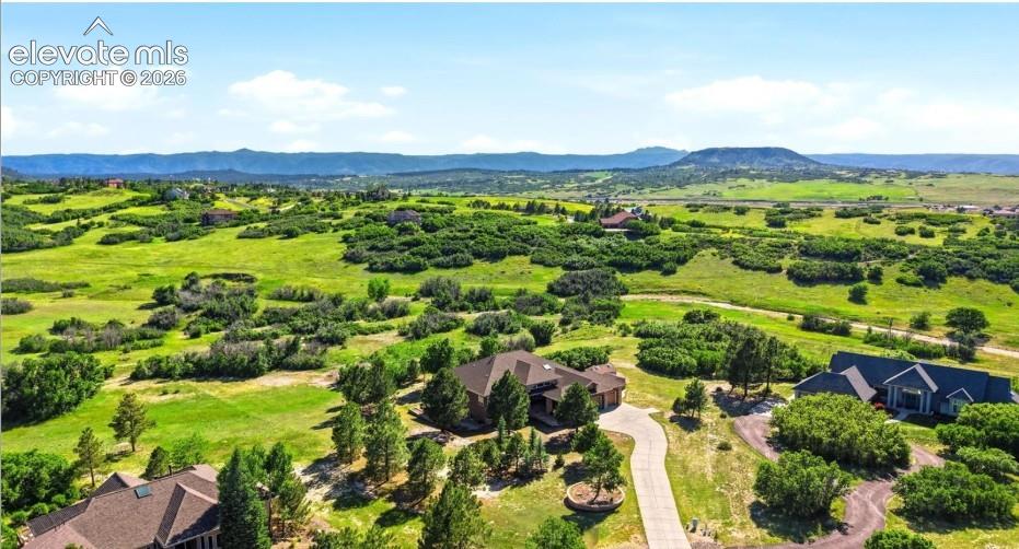 Image 45 of 46: Expansive verdant landscape with scattered trees, a paved driveway, and dis
