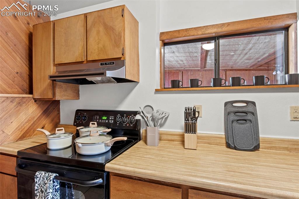 Image 20 of 50: Kitchen with black range with electric stovetop, light countertops, under c