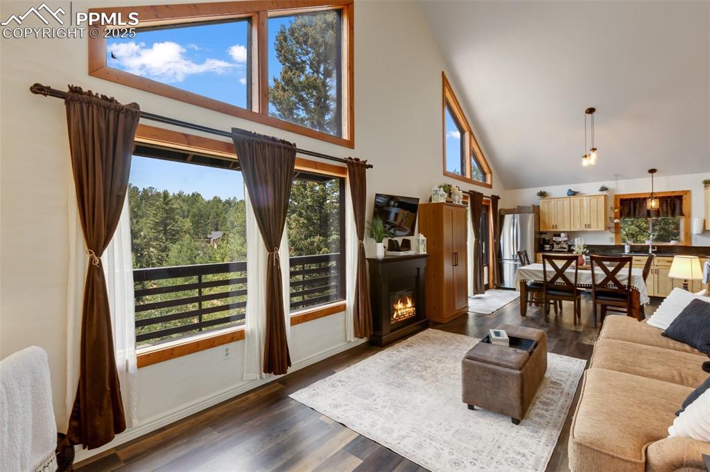 Image 9 of 50: Living Room