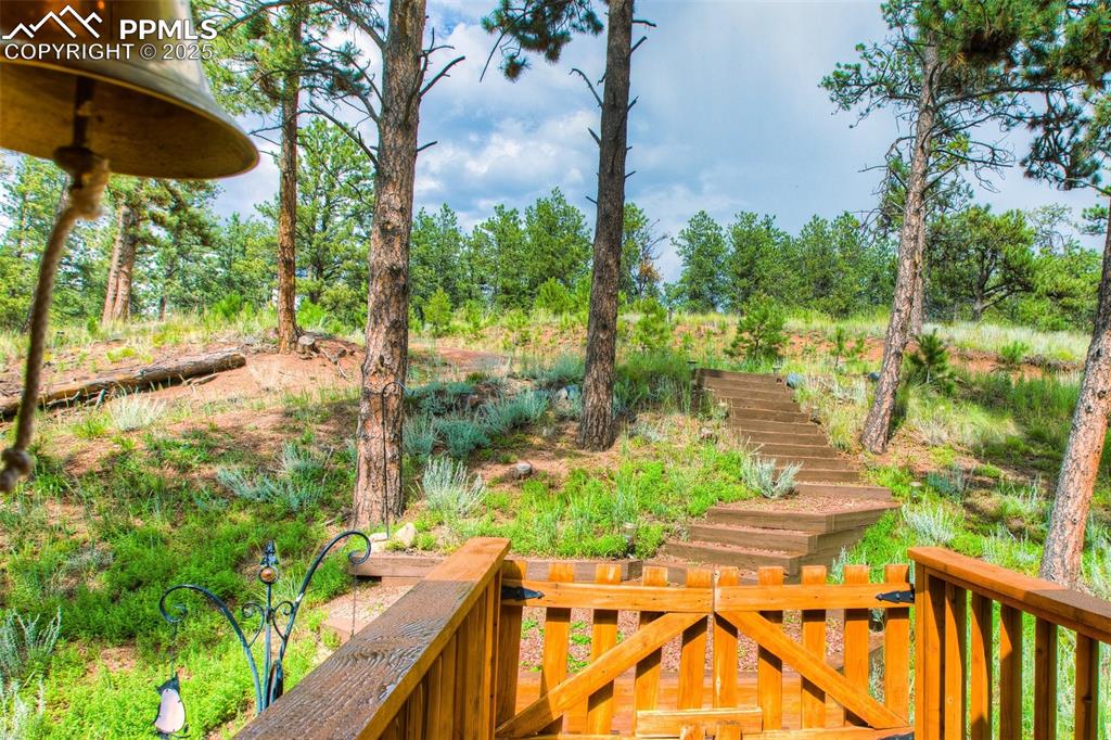 Image 30 of 32: Yard