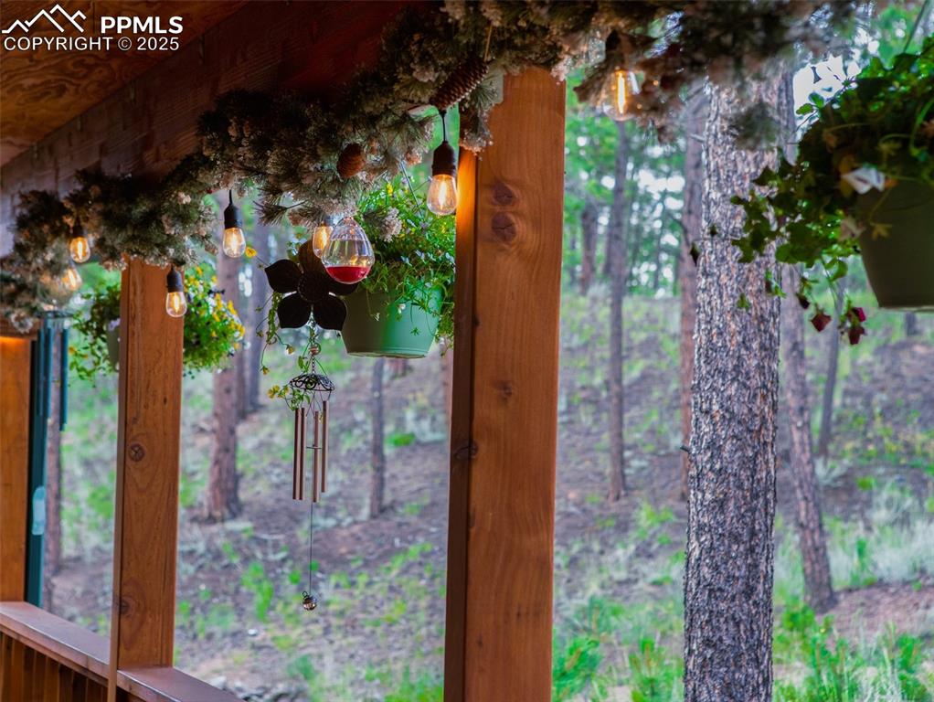 Image 32 of 32: Other