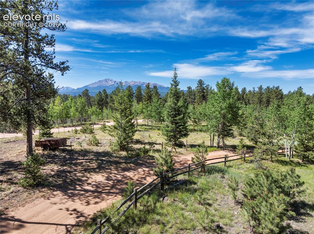 Image 7 of 33: And being next door to trails and Pike National Forest!
