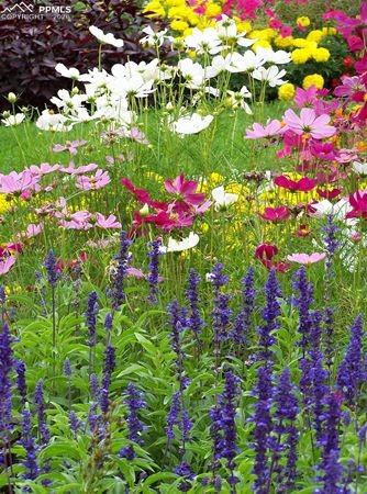 Image 37 of 37: Other