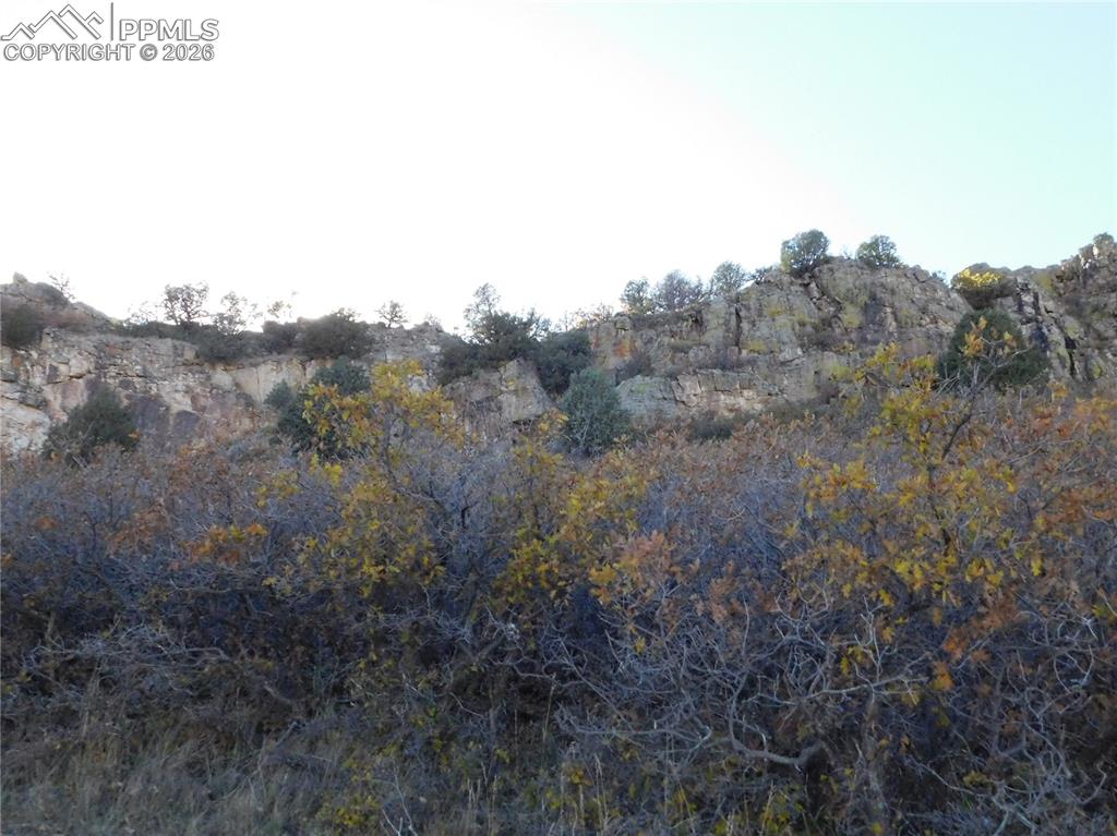 Image 21 of 46: No Description Available