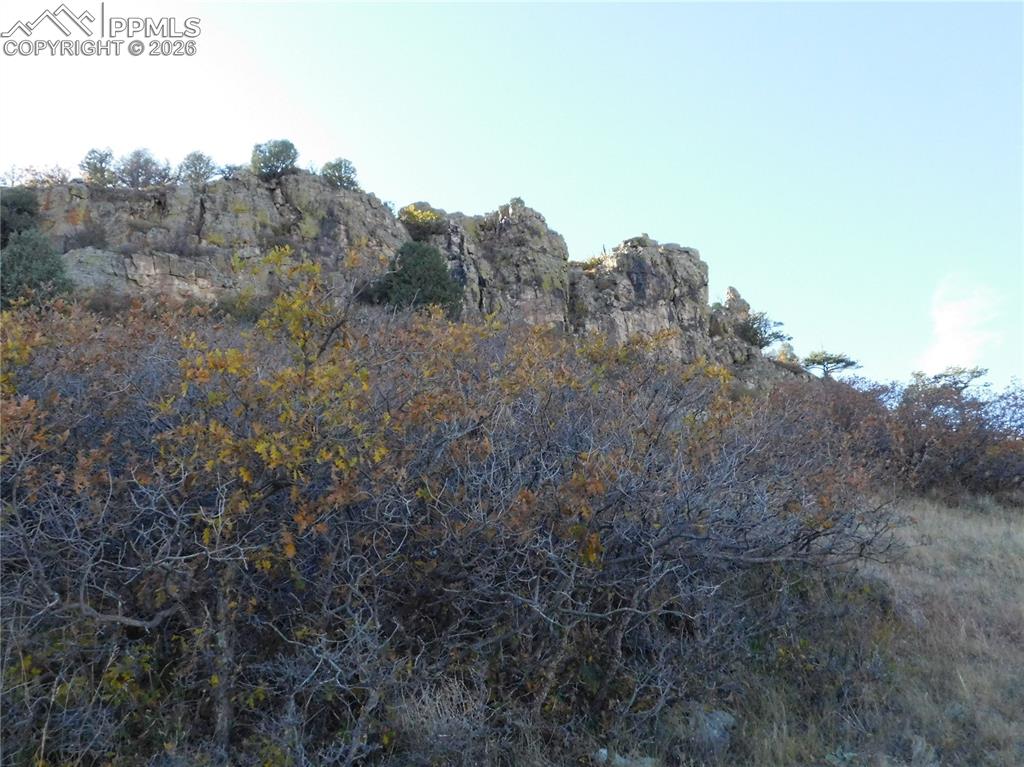 Image 22 of 46: No Description Available