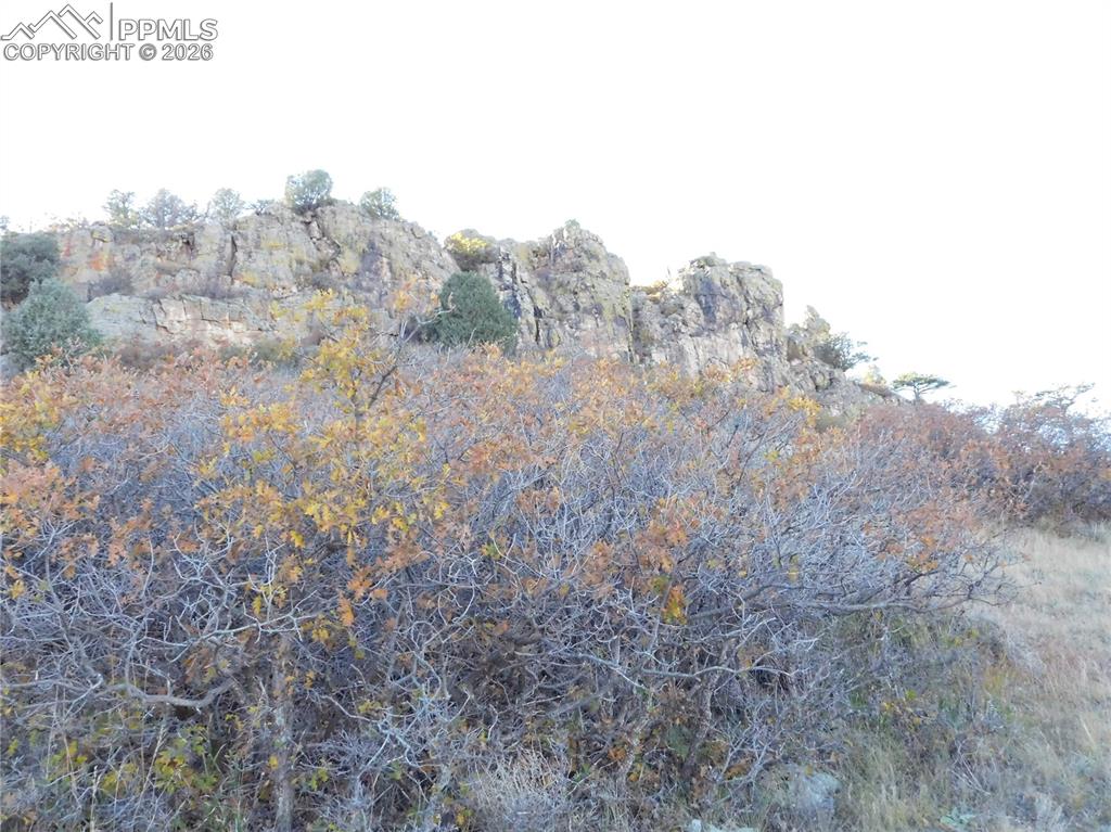 Image 23 of 46: No Description Available