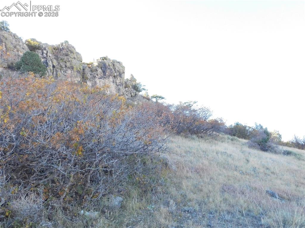 Image 24 of 46: No Description Available