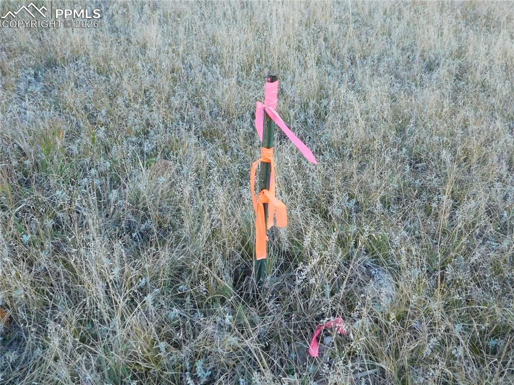 Image 29 of 46: No Description Available