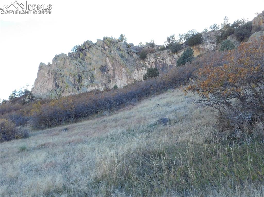 Image 31 of 46: No Description Available