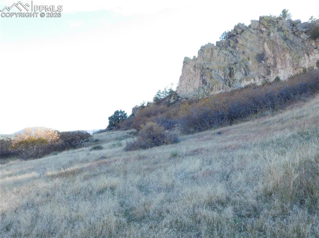 Image 33 of 46: No Description Available