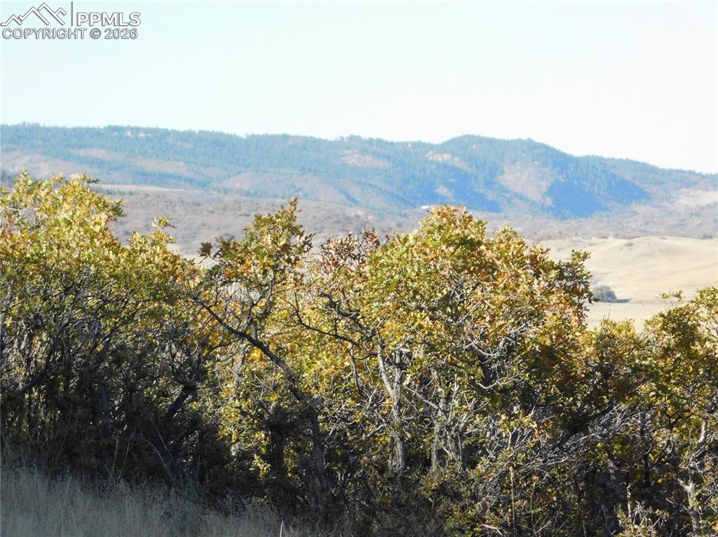 Image 37 of 46: No Description Available