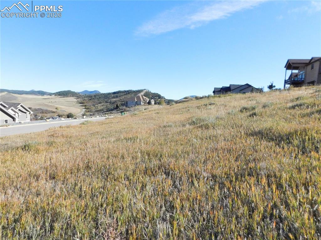 Image 43 of 46: No Description Available