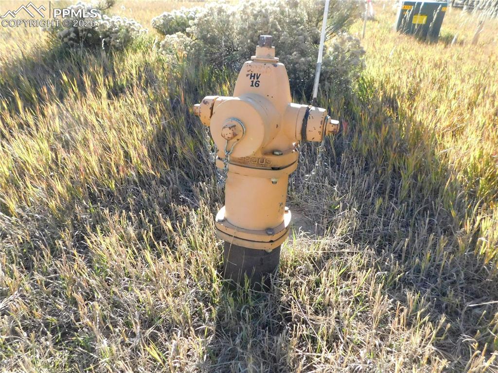 Image 45 of 46: No Description Available