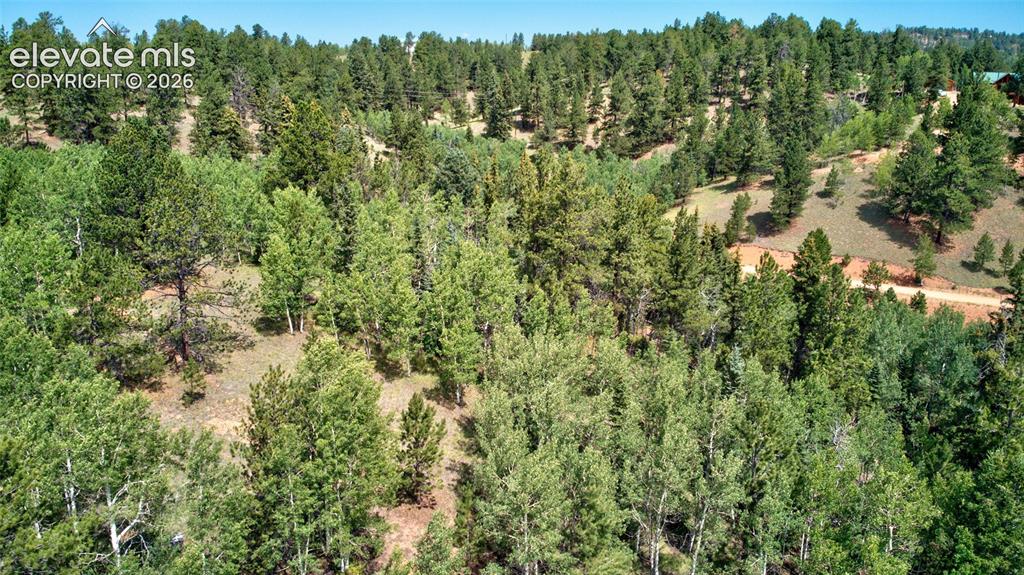 Image 6 of 24: Aerial View