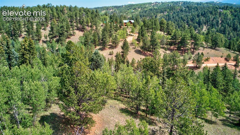 Image 7 of 24: Aerial View