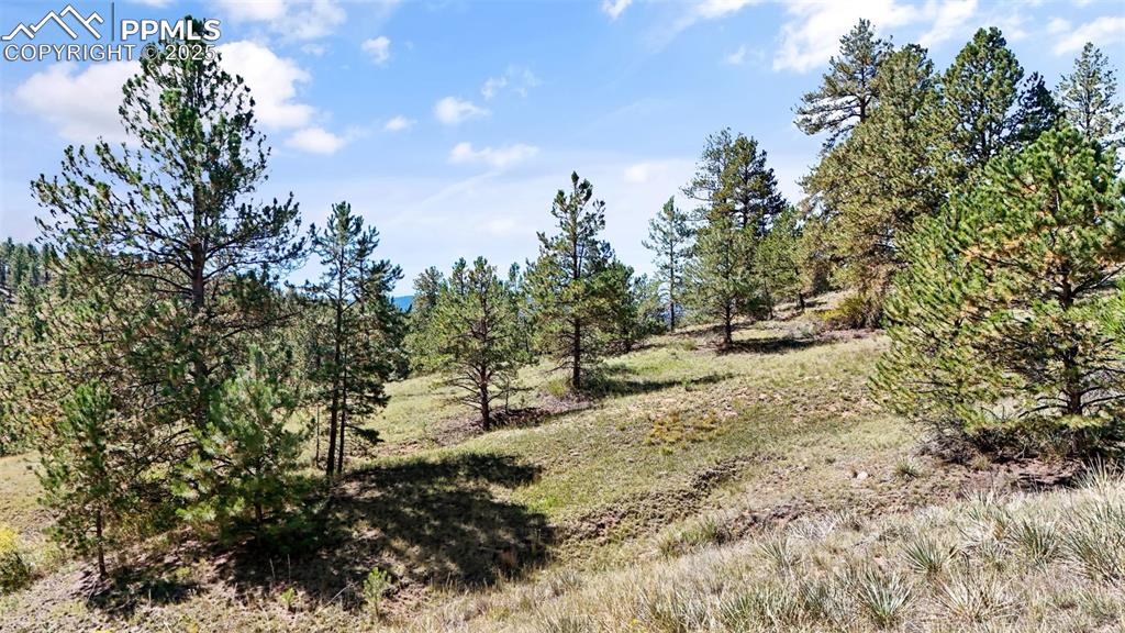 Image 12 of 20: Other